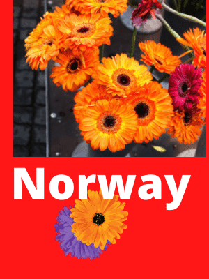 Flower delivery to Norway